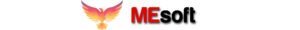 mesoft-top-300x30 mesoft top